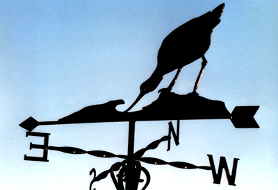 Avocet weather vane